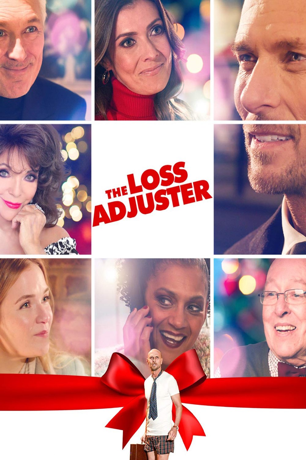 Постер The Loss Adjuster